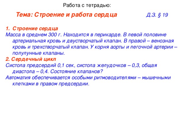 Работа с тетрадью: Тема: Строение и работа сердца     Д.З. § 19 Строение сердца   Масса в среднем 300 г. Находится в перикарде. В левой половине артериальная кровь и двустворчатый клапан. В правой – венозная кровь и трехстворчатый клапан. У корня аорты и легочной артерии – полулунные клапаны. 2. Сердечный цикл   Систола предсердий 0,1 сек, систола желудочков – 0,3, общая диастола – 0,4. Состояние клапанов? Автоматия обеспечивается особыми ритмоводителями – мышечными клетками в правом предсердии.