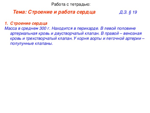 Работа с тетрадью: Тема: Строение и работа сердца     Д.З. § 19 Строение сердца   Масса в среднем 300 г. Находится в перикарде. В левой половине артериальная кровь и двустворчатый клапан. В правой – венозная кровь и трехстворчатый клапан. У корня аорты и легочной артерии – полулунные клапаны.