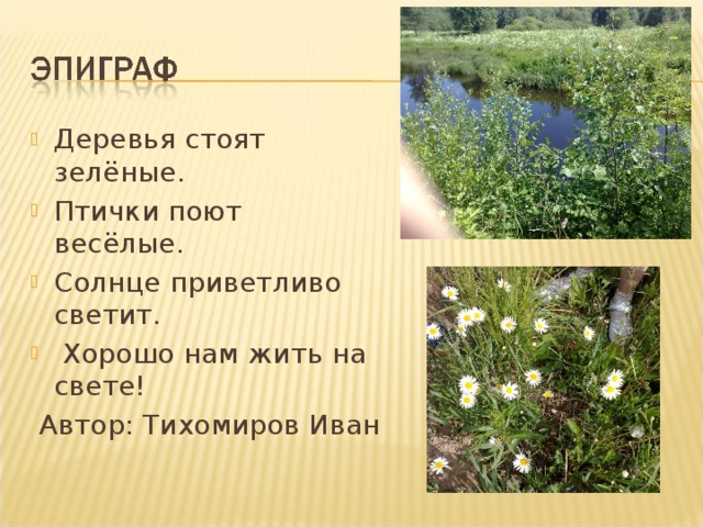 Деревья стоят зелёные. Птички поют весёлые. Солнце приветливо светит.  Хорошо нам жить на свете!