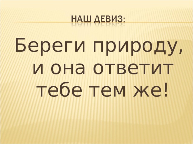 Береги природу, и она ответит тебе тем же!
