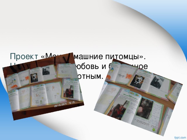     Проект «Мои домашние питомцы».  Цель: Привить любовь и бережное отношение к животным.    