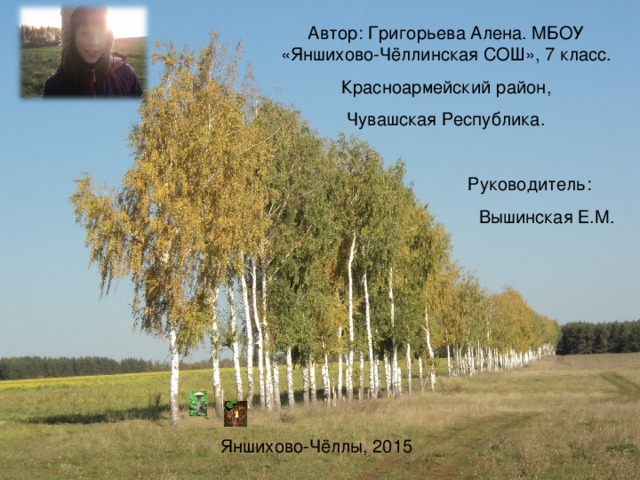 Автор: Григорьева Алена. МБОУ «Яншихово-Чёллинская СОШ», 7 класс. Красноармейский район, Чувашская Республика.  Руководитель:  Вышинская Е.М. Яншихово-Чёллы, 2015 