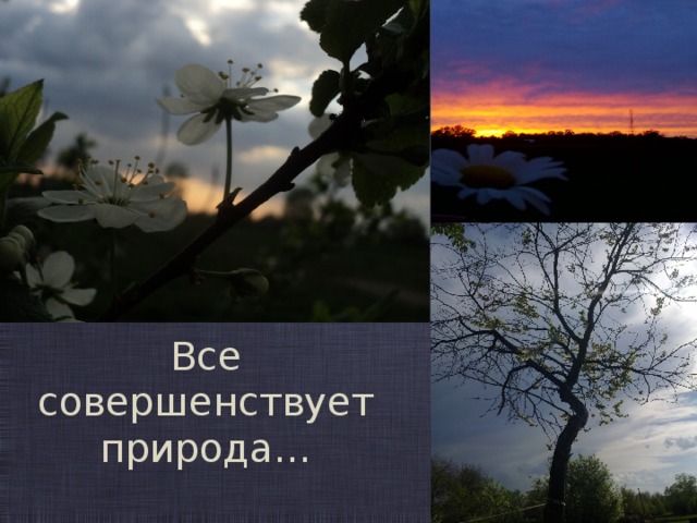 Все совершенствует природа…  