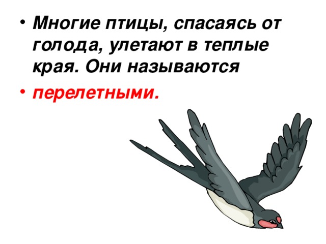 Многие птицы, спасаясь от голода, улетают в теплые края. Они называются перелетными. 