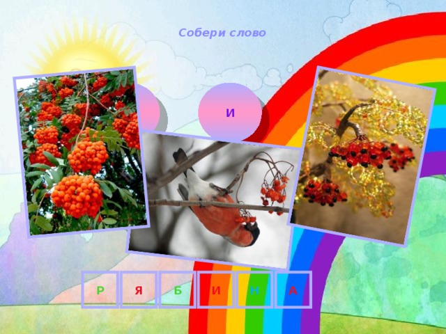 Собери слово Я И А Р Н Б Р Б И Н А Я 