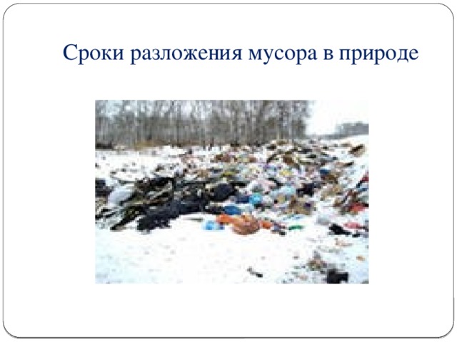 Сроки разложения мусора в природе