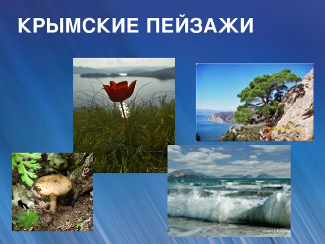 КРЫМСКИЕ ПЕЙЗАЖИ