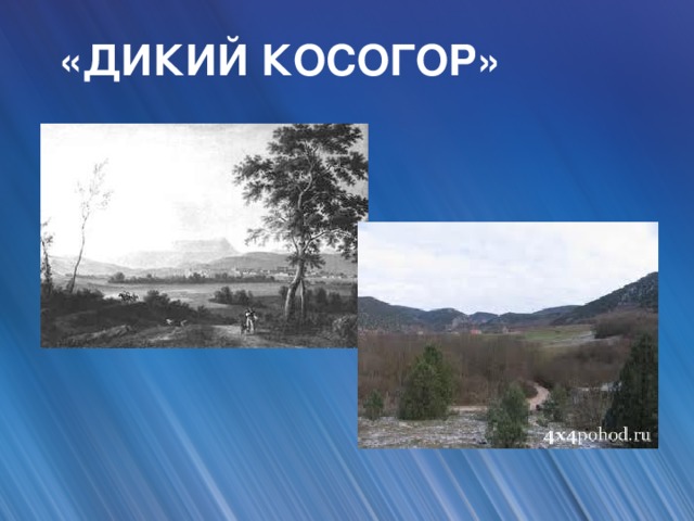 «ДИКИЙ КОСОГОР»