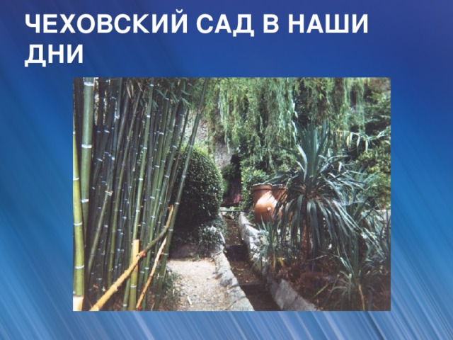 ЧЕХОВСКИЙ САД В НАШИ ДНИ