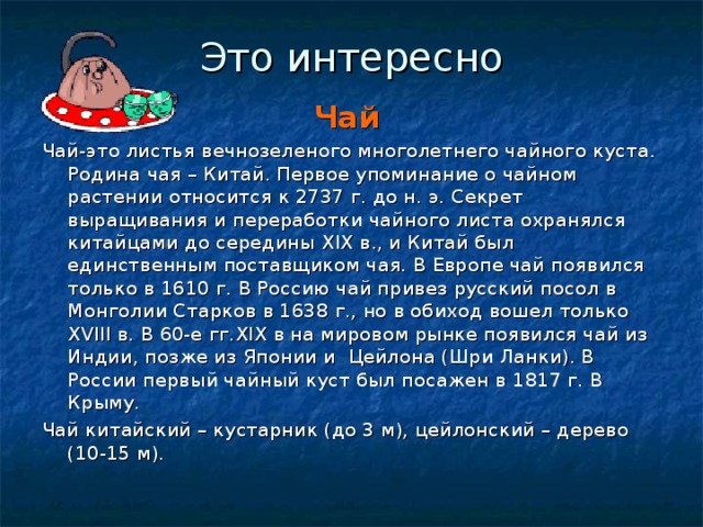 Это интересно Чай Чай-это листья вечнозеленого многолетнего чайного куста. Родина чая – Китай. Первое упоминание о чайном растении относится к 2737 г. до н. э. Секрет выращивания и переработки чайного листа охранялся китайцами до середины XIX в., и Китай был единственным поставщиком чая. В Европе чай появился только в 1610 г. В Россию чай привез русский посол в Монголии Старков в 1638 г., но в обиход вошел только XVIII в. В 60-е гг. XIX в на мировом рынке появился чай из Индии, позже из Японии и Цейлона (Шри Ланки). В России первый чайный куст был посажен в 1817 г. В Крыму. Чай китайский – кустарник (до 3 м), цейлонский – дерево (10-15 м). 