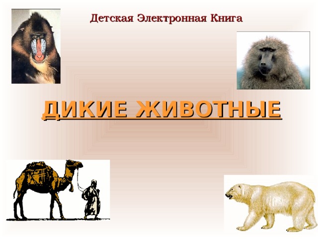 Детская Электронная Книга ДИКИЕ ЖИВОТНЫЕ    