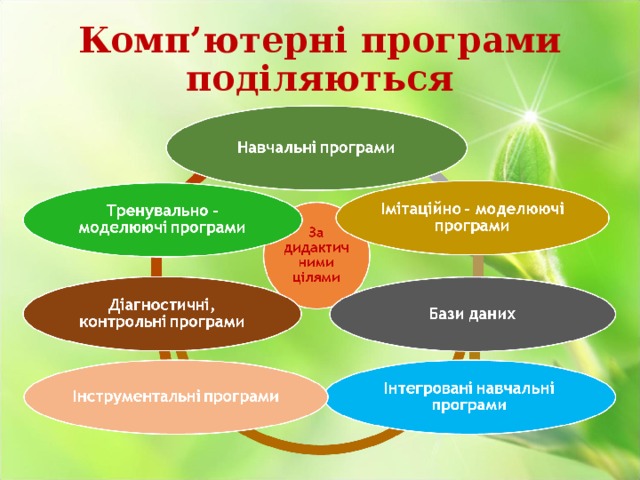 Комп’ютерні програми поділяються   