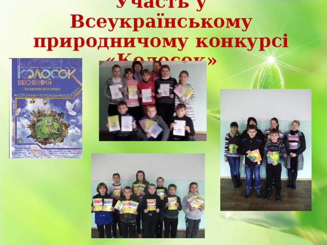 Участь у Всеукраїнському природничому конкурсі «Колосок» 