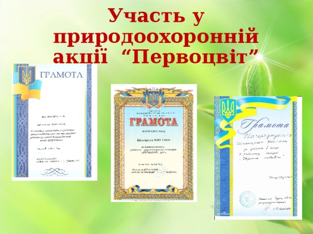 Участь у природоохоронній акції “Первоцвіт” 