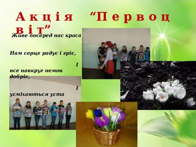 А к ц і я “П е р в о ц в і т”  Живе посеред нас краса  Нам серце радує і гріє,  І все навкруг немов добріє,  І усміхаються уста 