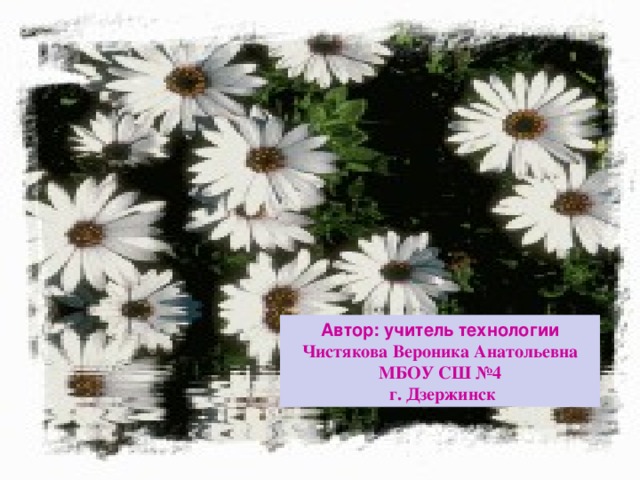 Автор: учитель технологии Чистякова Вероника Анатольевна МБОУ СШ №4  г. Дзержинск 