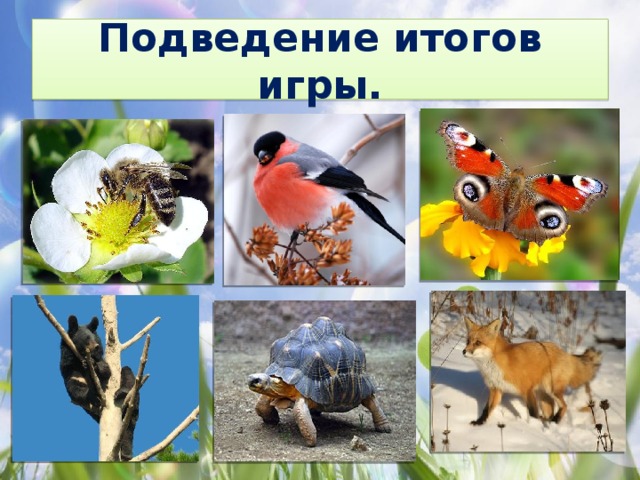 Подведение итогов игры. 