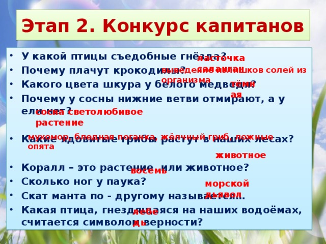 Этап 2. Конкурс капитанов У какой птицы съедобные гнёзда? Почему плачут крокодилы? Какого цвета шкура у белого медведя? Почему у сосны нижние ветви отмирают, а у ели нет?  Какие ядовитые грибы растут в наших лесах?  Коралл – это растение или животное? Сколько ног у паука? Скат манта по - другому называется… Какая птица, гнездящаяся на наших водоёмах, считается символом верности?  ласточка саланган выведение излишков солей из организма тёмная сосна светолюбивое растение мухомор, бледная поганка, жёлчный гриб, ложные опята животное восемь морской дьявол лебедь 