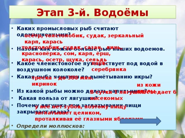 Этап 3-й. Водоёмы Каких промысловых рыб считают одомашненными?  Назови как можно больше рыб наших водоемов.  Какое членистоногое путешествует под водой в воздушном колоколе? Какая рыба чемпион по вымётыванию икры?  Из какой рыбы можно делать напильники?  Какая польза от лягушки? Почему лягушка при заглатывании пищи закрывает глаза?  Определи моллюсков: осётр, толстолобик, судак, зеркальный карп, карась толстолобик, судак, сазан, линь, краснопёрка, сом, карп, ёрш, карась, осетр, щука, сельдь  паук-серебрянка треска – до 300 млн. икринок из кожи акулы В сутки 1 лягушка съедает 6 насекомых у неё нет зубов, поэтому пищу заглатывает целиком, проталкивая её глазными яблоками 
