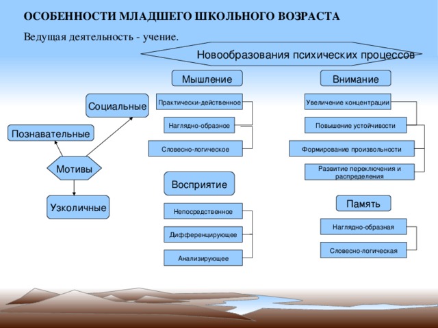 Познавательные процессы нарисовать схему