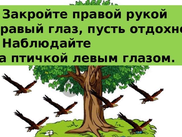 * Закройте правой рукой правый глаз, пусть отдохнет. * Наблюдайте за птичкой левым глазом. 
