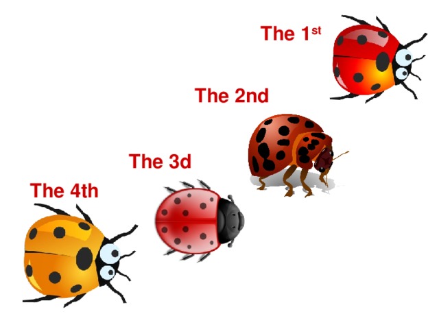The 1 st  The 2nd The 3d  The 4th  