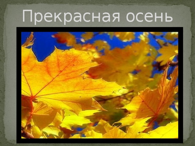 Прекрасная осень 