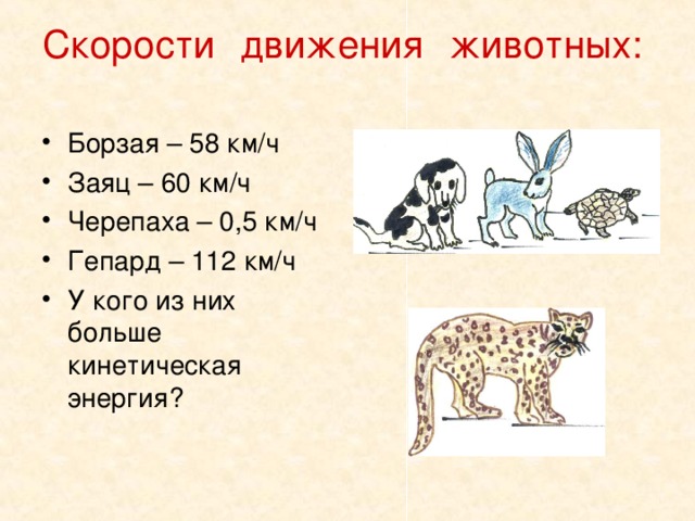 Скорости движения животных:   Борзая – 58 км/ч Заяц – 60 км/ч Черепаха – 0,5 км/ч Гепард – 112 км/ч У кого из них больше кинетическая энергия? 