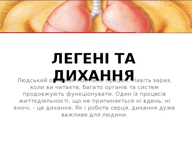 Легені та дихання Людський організм постійно працює. Навіть зараз, коли ви читаєте, багато органів та систем продовжують функціонувати. Один із процесів життєдіяльності, що не припиняється ні вдень, ні вночі, - це дихання. Як і робота серця, дихання дуже важливе для людини. 