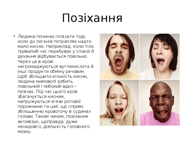 Позіхання Людина починає позіхати тоді, коли до легенів потрапляє надто мало кисню. Наприклад, коли тіло тривалий час перебуває у спокої й дихання відбувається повільно. Через це в крові нагромаджуються вуглекислота й інші продукти обміну речовин. Щоб збільшити кількість кисню, людина мимоволі робить повільний глибокий вдих – позіхає. Під час цього кров збагачується киснем, напружуються м'язи ротової порожнини та шиї, що сприяє збільшенню кровоточу в судинах голови. Таким чином, позіхання активізує, щоправда, дуже ненадовго, діяльність головного мозку. 