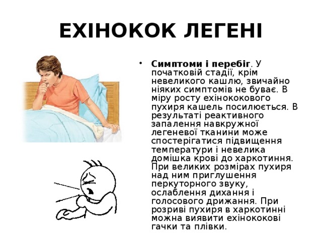ЕХІНОКОК ЛЕГЕНІ Симптоми і перебіг . У початковій стадії, крім невеликого кашлю, звичайно ніяких симптомів не буває. В міру росту ехінококового пухиря кашель посилюється. В результаті реактивного запалення навкружної легеневої тканини може спостерігатися підвищення температури і невелика домішка крові до харкотиння. При великих розмірах пухиря над ним приглушення перкуторного звуку, ослаблення дихання і голосового дрижання. При розриві пухиря в харкотинні можна виявити ехінококові гачки та плівки. 