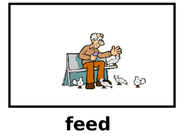 feed 