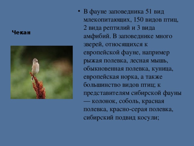 Чекан