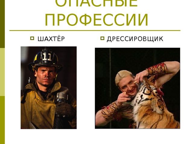 ОПАСНЫЕ ПРОФЕССИИ ШАХТЁР  ДРЕССИРОВЩИК 