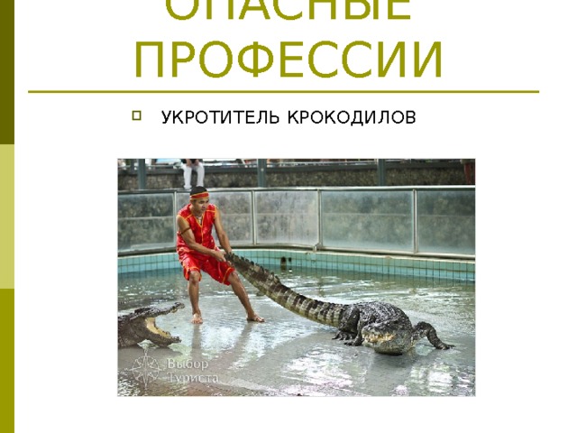 ОПАСНЫЕ ПРОФЕССИИ УКРОТИТЕЛЬ КРОКОДИЛОВ 
