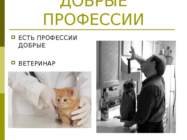ДОБРЫЕ ПРОФЕССИИ ЕСТЬ ПРОФЕССИИ ДОБРЫЕ  ВЕТЕРИНАР 