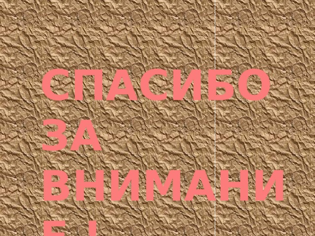 СПАСИБО ЗА ВНИМАНИЕ ! 