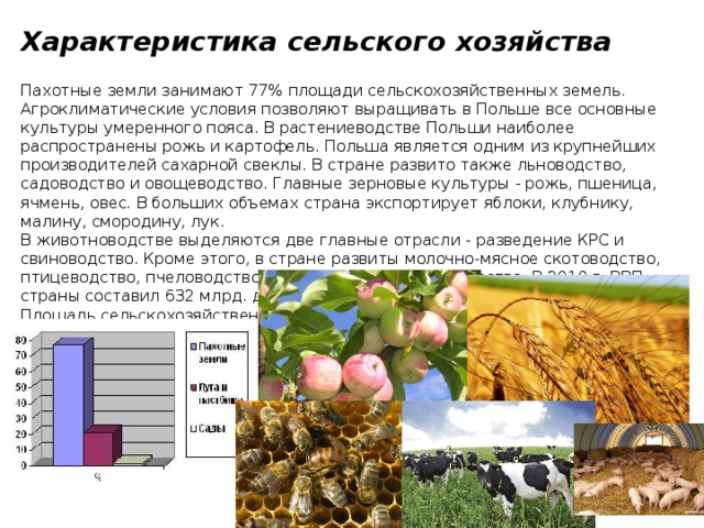 Характеристика сельского хозяйства  Пахотные земли занимают 77% площади сельскохозяйственных земель. Агроклиматические условия позволяют выращивать в Польше все основные культуры умеренного пояса. В растениеводстве Польши наиболее распространены рожь и картофель. Польша является одним из крупнейших производителей сахарной свеклы. В стране развито также льноводство, садоводство и овощеводство. Главные зерновые культуры - рожь, пшеница, ячмень, овес. В больших объемах страна экспортирует яблоки, клубнику, малину, смородину, лук. В животноводстве выделяются две главные отрасли - разведение КРС и свиноводство. Кроме этого, в стране развиты молочно-мясное скотоводство, птицеводство, пчеловодство. Ведётся морское рыболовство. В 2010 г. ВВП страны составил 632 млрд. долл. США. Площадь сельскохозяйственных угодий составляет 15,9 млн. га. 