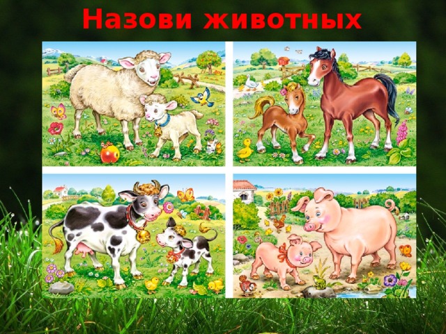 Назови животных 