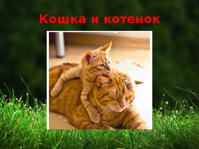 Кошка и котенок 