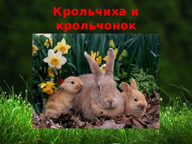 Крольчиха и крольчонок 