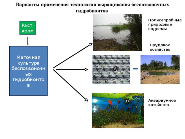 Прудовое хозяйство схема