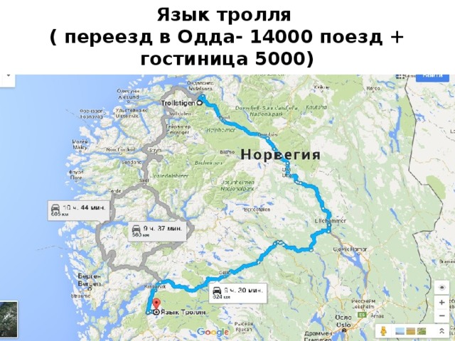 Язык тролля  ( переезд в Одда- 14000 поезд + гостиница 5000) 