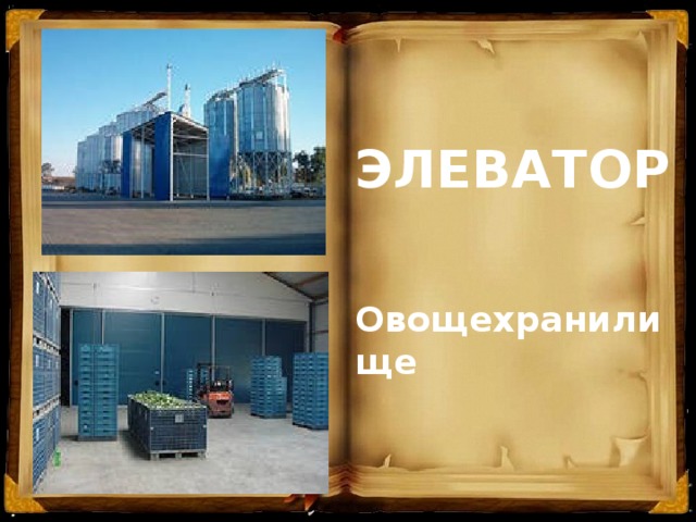 ЭЛЕВАТОР Овощехранилище