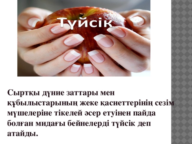 Сыртқы дүние заттары мен құбылыстарының жеке қасиеттерiнiң сезiм мүшелерiне тiкелей әсер етуiнен пайда болған мидағы бейнелердi түйсiк деп атайды. 