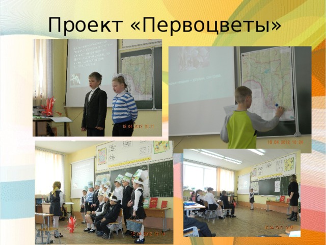 Проект «Первоцветы»