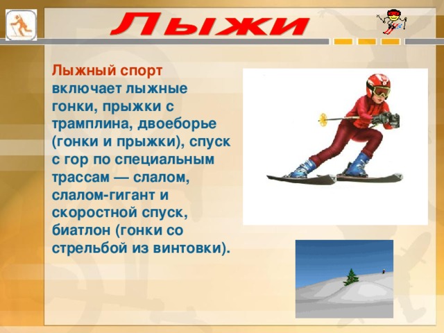 какие виды спорта изучаются в начальной школе. Смотреть фото какие виды спорта изучаются в начальной школе. Смотреть картинку какие виды спорта изучаются в начальной школе. Картинка про какие виды спорта изучаются в начальной школе. Фото какие виды спорта изучаются в начальной школе