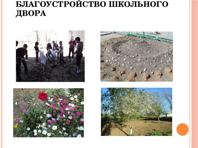 Благоустройство школьного двора проект презентация Озеленение в школе фото Диван.ру