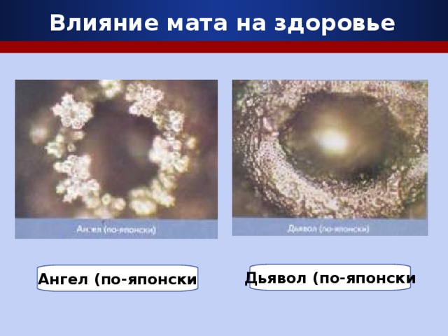 Влияние мата на здоровье Дьявол (по-японски Ангел (по-японски