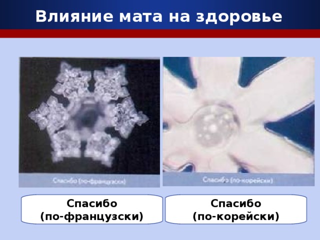 Влияние мата на здоровье Спасибо  (по-французски)  Спасибо  (по-корейски)